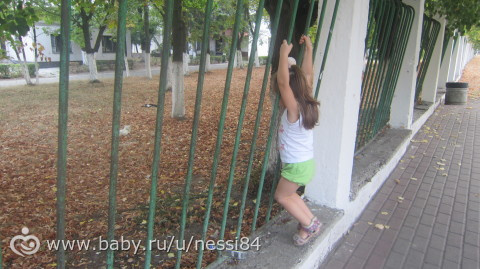 4 сентября 2015 г. / рутинный