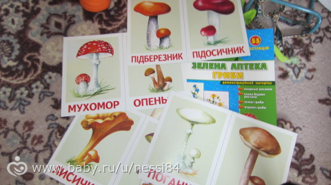 8-9 cентября 2015 г./ тз грибы