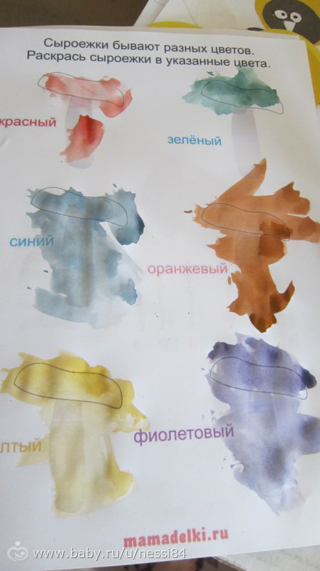 8-9 cентября 2015 г./ тз грибы