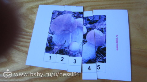 8-9 cентября 2015 г./ тз грибы