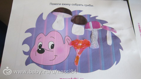 8-9 cентября 2015 г./ тз грибы