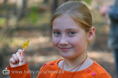 4октября 2015г/ лесная прогулка