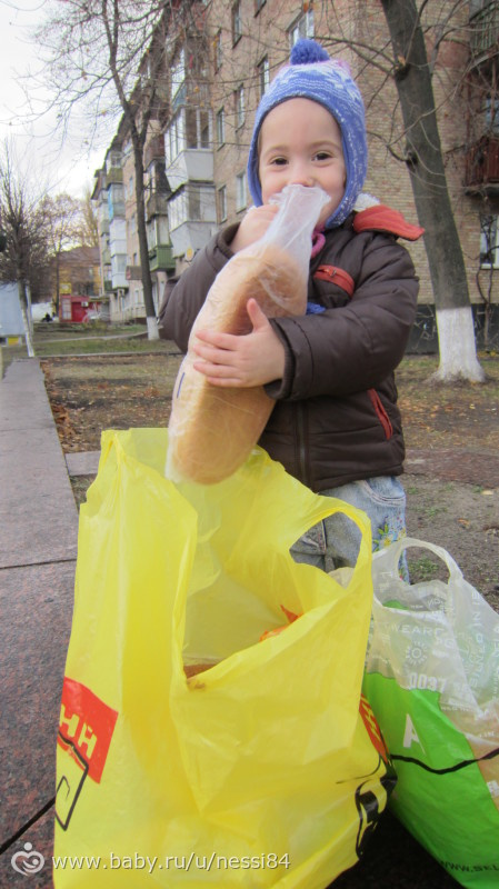 8-11 ноября 2015 г/