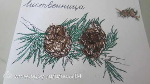 1-3 декабря 2015 года/ занятия