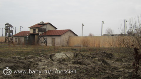 13 декабря 2015 г/замок Виктория Филмс