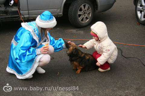 26-27 декабря 2015/елка нашего двора