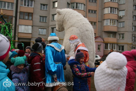 26-27 декабря 2015/елка нашего двора