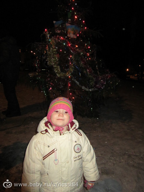 29-31 декабря 2015 г/ с новым годом!