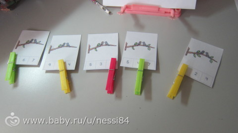 19 февраля 2016 г/ птички 2
