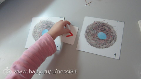 19 февраля 2016 г/ птички 2