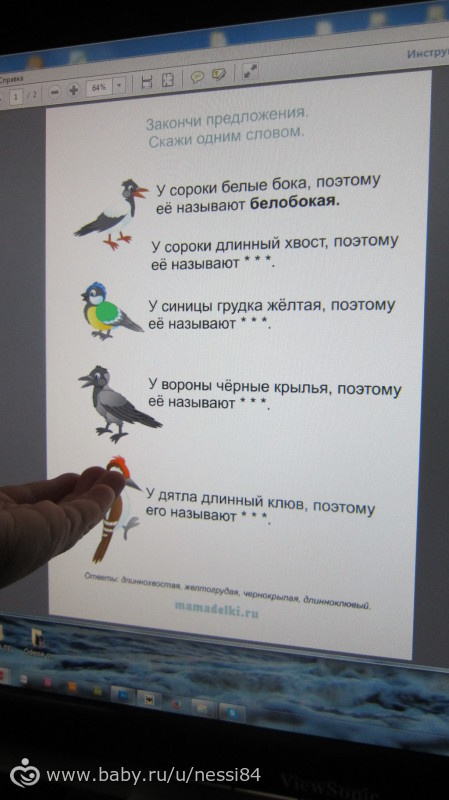 20 февраля 2016 г/ окончание о птичках