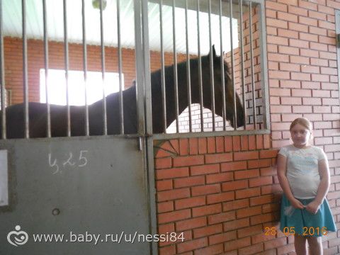 28-29 мая 2016 г/ Дарина путешественица