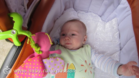 15 июня 2016 г/ сельский