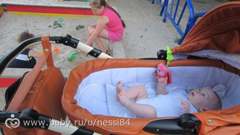 25 июня 2016 г/ Полиняшка-потеряшка