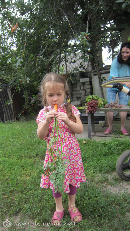 28-30 июня 2016 г/ дела предотьездные