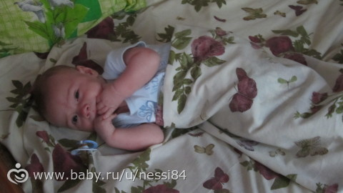 7 июля 2016 г /палеонтологический музей Одесса