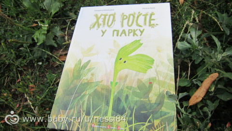 26 июля 2016 г/книжки 2