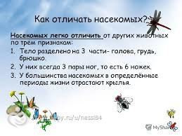 Маленькие Энтомологи неделя 3 задания