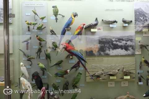 28-29 октября 2016 г/ музейничаем