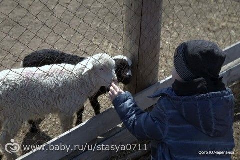 2 месяца????????