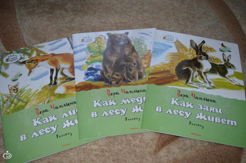 Книжное пополнение ноябрь.