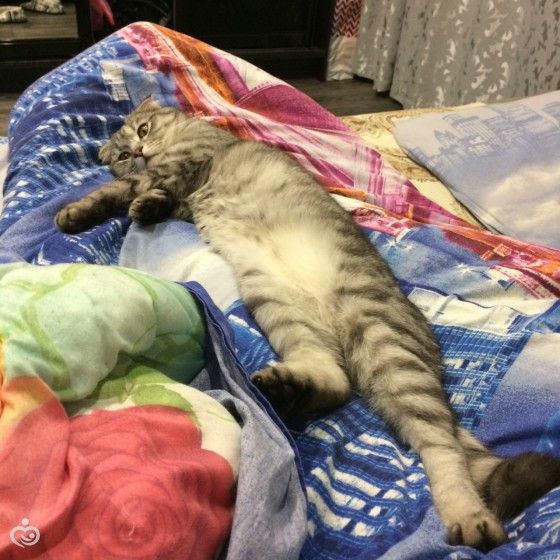 Царь! Очень приятно, Царь!