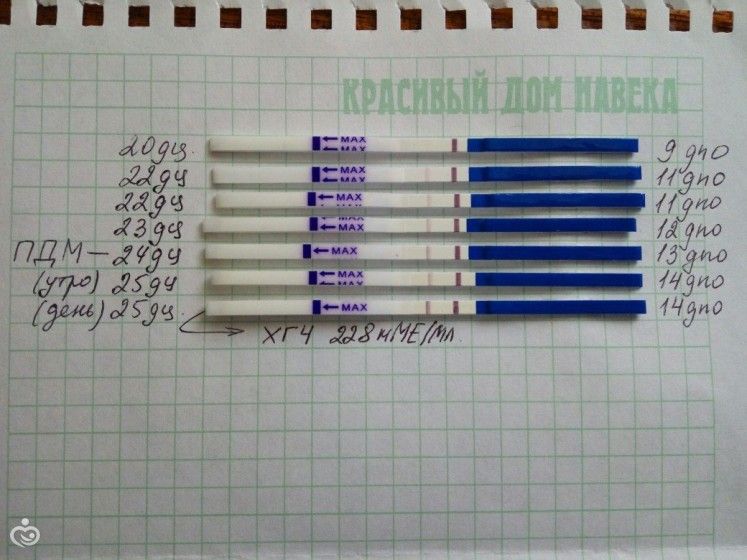 Пост счастливых полосочек