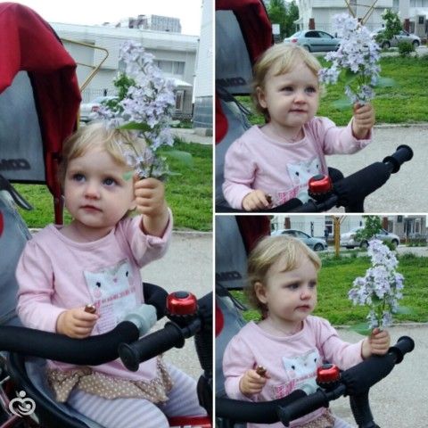Первые цветы Василины. Маленькие моменты из калейдоскопа)))???