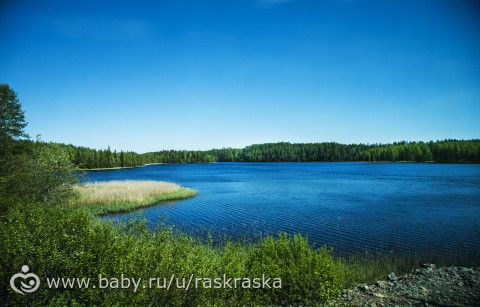 Наше Балтийское путешествие Июнь 2015: часть 2 :) (фото много как всегда сорри:))