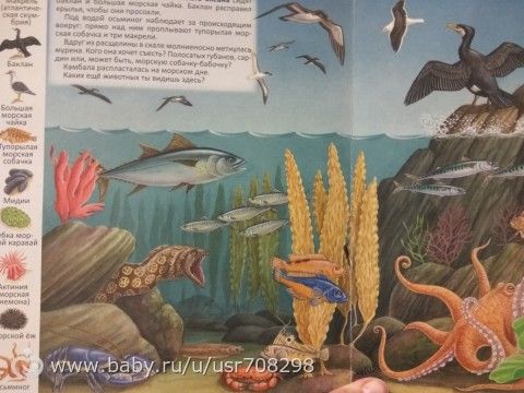 Рыбачим дома с ребенком. Развивашки