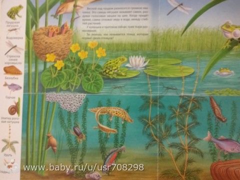 Рыбачим дома с ребенком. Развивашки
