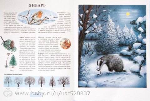 Какие книги рекомендую читать детям от 1 года до 3 лет!