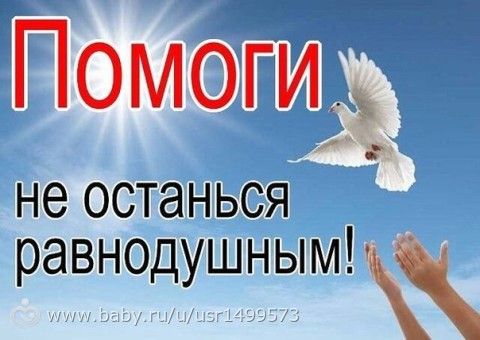 Кирилл тоже ждёт чуда......!