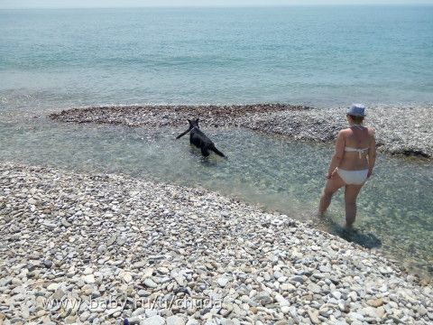 как тяжело отдыхать)))) не шутки между прочим, неделя на отдыхе)))