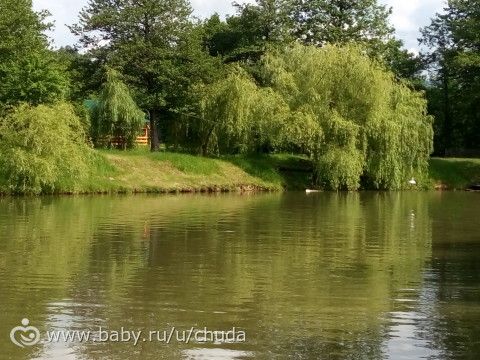 шашлык-машлык, то дождь то солнце.