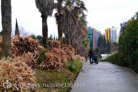 Путешествие с годовасиком в Сочи - отчет