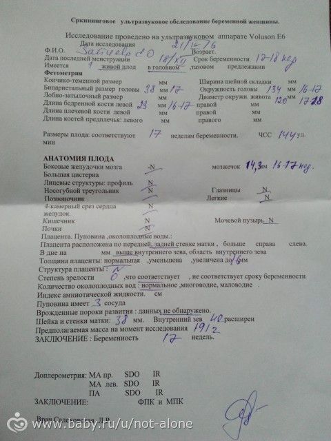 девчат разъясните заключение пожалуйста...