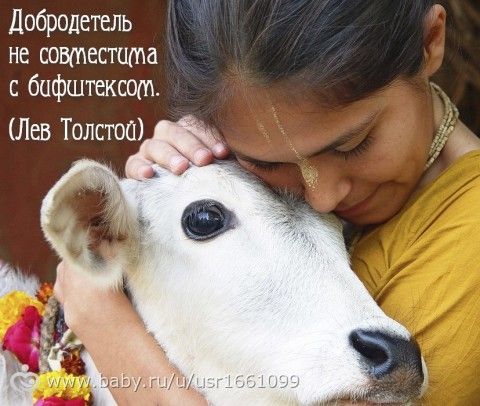 Толстой о детях, осознанности, жизни и человеке. Почему этого не рассказывают в школе, когда разбирают Толстого?