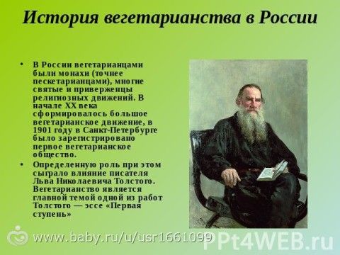 Толстой о детях, осознанности, жизни и человеке. Почему этого не рассказывают в школе, когда разбирают Толстого?