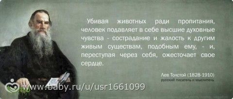 Толстой о детях, осознанности, жизни и человеке. Почему этого не рассказывают в школе, когда разбирают Толстого?