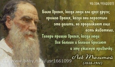 Толстой о детях, осознанности, жизни и человеке. Почему этого не рассказывают в школе, когда разбирают Толстого?