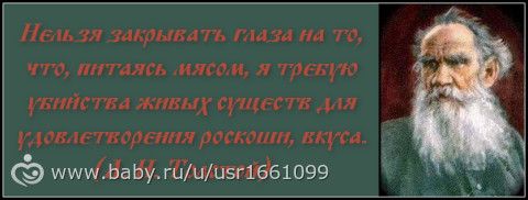Толстой о детях, осознанности, жизни и человеке. Почему этого не рассказывают в школе, когда разбирают Толстого?