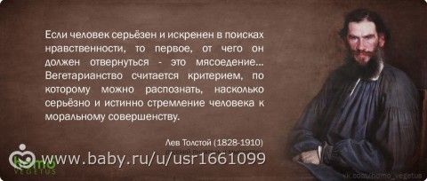 Толстой о детях, осознанности, жизни и человеке. Почему этого не рассказывают в школе, когда разбирают Толстого?