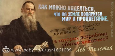 Толстой о детях, осознанности, жизни и человеке. Почему этого не рассказывают в школе, когда разбирают Толстого?