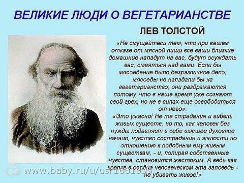 Толстой о детях, осознанности, жизни и человеке. Почему этого не рассказывают в школе, когда разбирают Толстого?