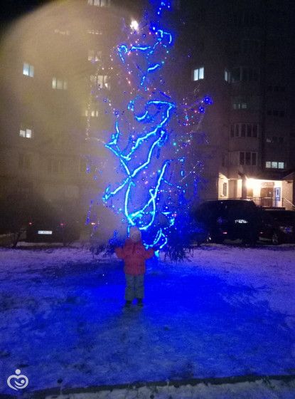 31 декабря 2016-1 января 2017/ Новый год.