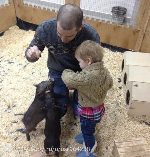 Давненько не писала, наши новости и фото булочки)