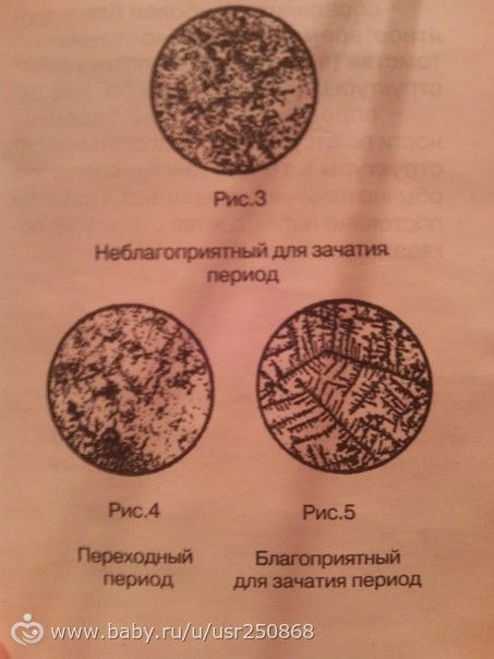 Обменяю овуляционный мини-микроскоп