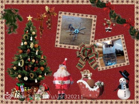 Зимний марафон. Неделя 2.