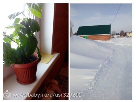 Марафон &quot;Февральская радуга&quot;. Зеленый цвет.